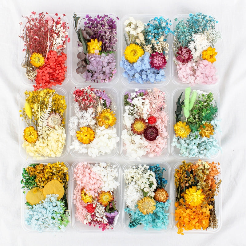 Pack de Material Floral Preservado en Caja de Flores Reales Secas al Aire b2
