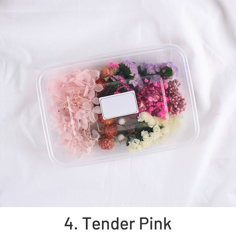 Caja de Material Floral Conservado de Flores Reales Secadas al Aire sku-4