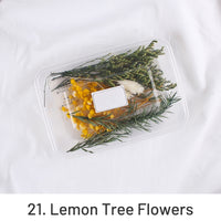 21. Flores del Limonero