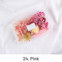 24. Rosa