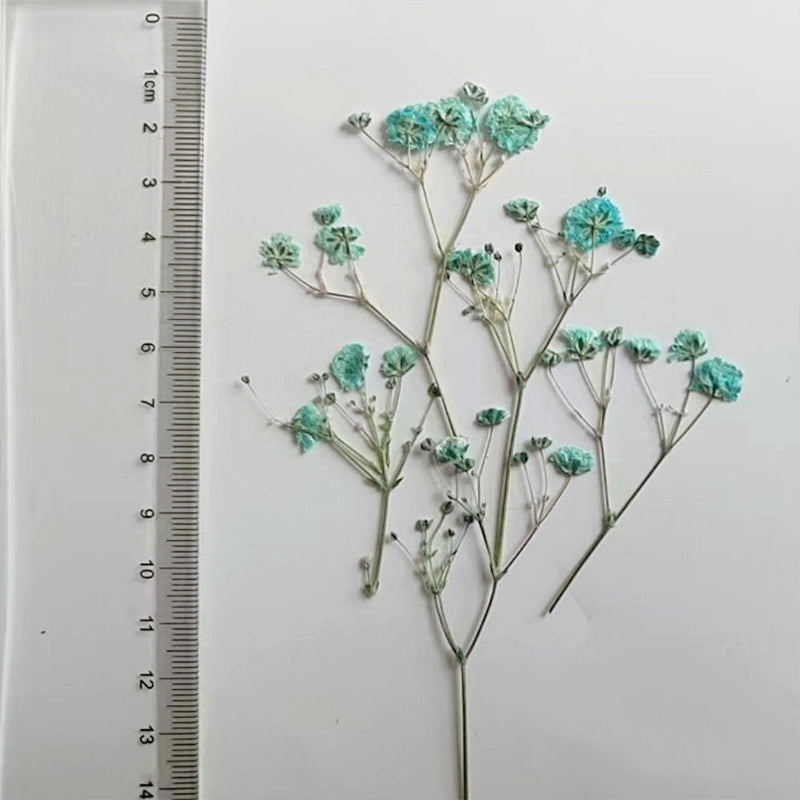 Paquete de Material de Flor Seca DIY Respiración de Bebé c