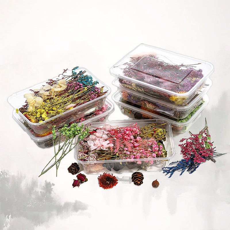 Flores Secas Preservadas Decorativas en Caja b