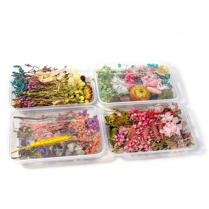 Flores Secas Preservadas Decorativas en Caja b2
