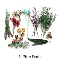1. Fruta de Pino 44g