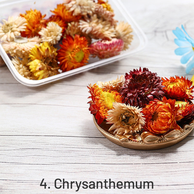 Flores Secas Preservadas Decorativas en Caja sku-4