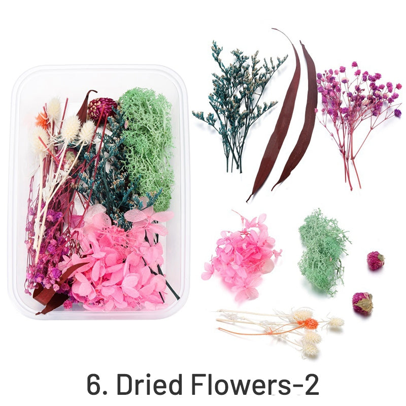 Flores Secas Decorativas Preservadas en Caja sku-6