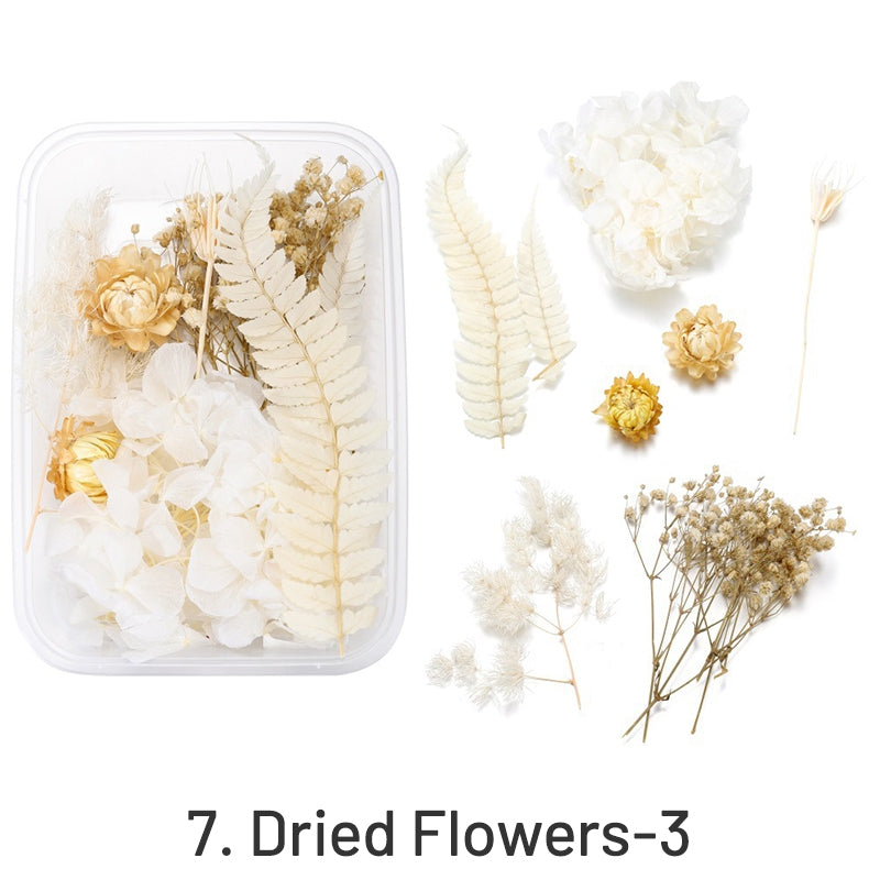 Flores Secas Preservadas Decorativas en Caja sku-7