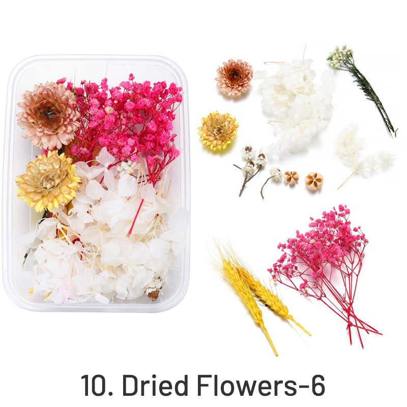 Flores Secas Decorativas Preservadas en Caja sku-10