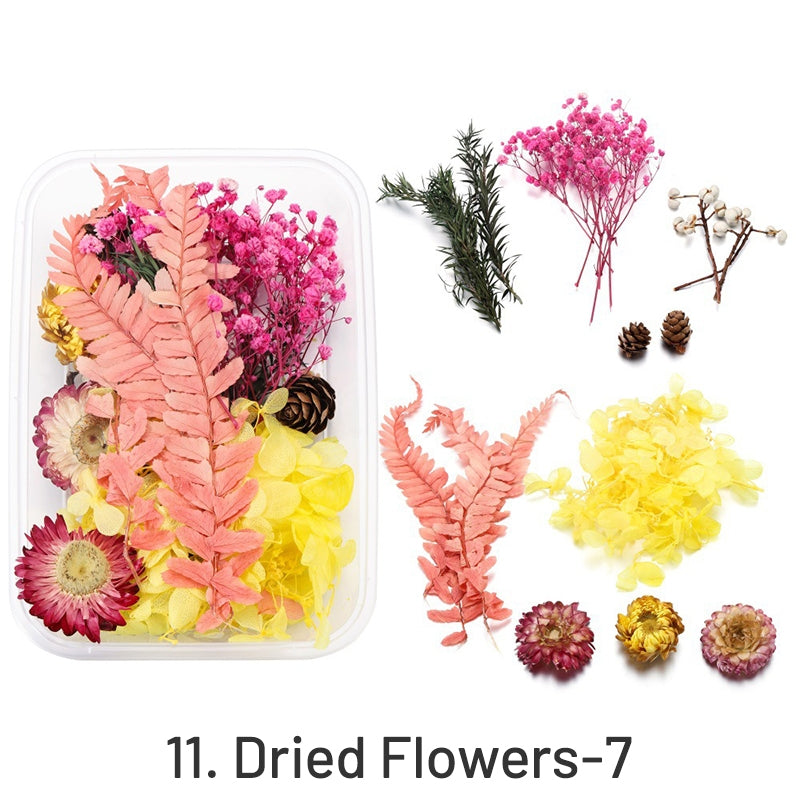 Flores Secas Preservadas Decorativas en Caja sku-11