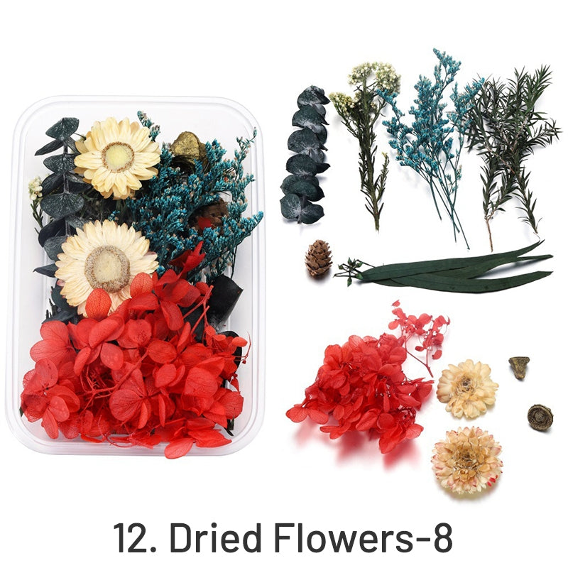 Flores Secas Preservadas Decorativas en Caja sku-12