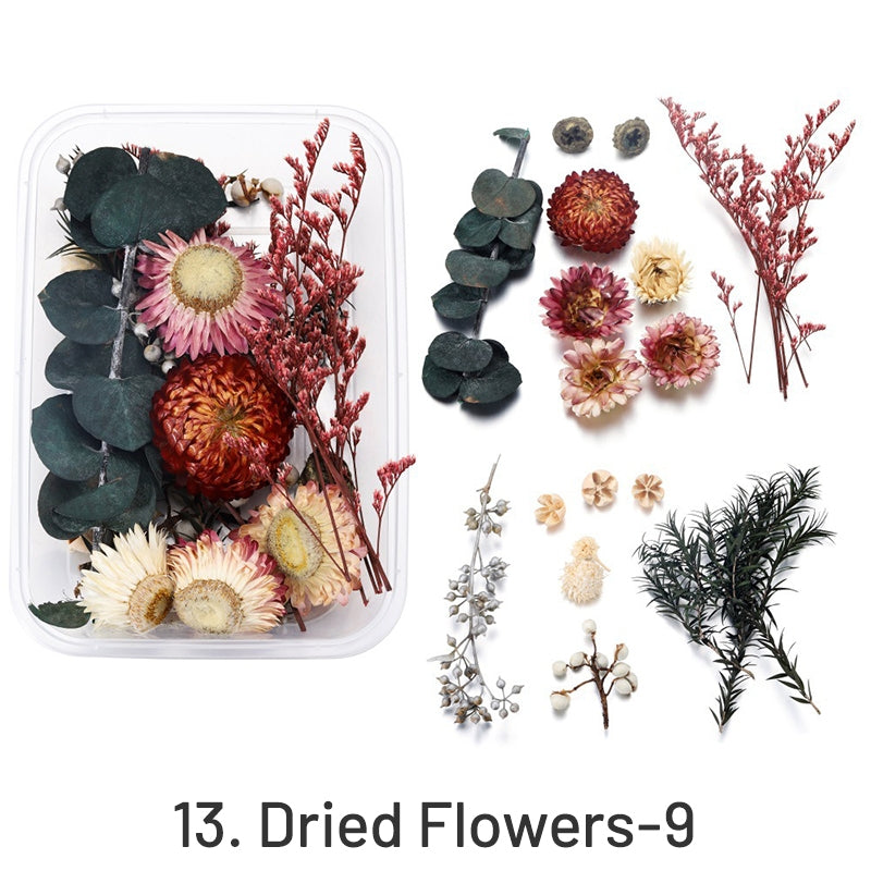 Flores Secas Preservadas Decorativas en Caja sku-13