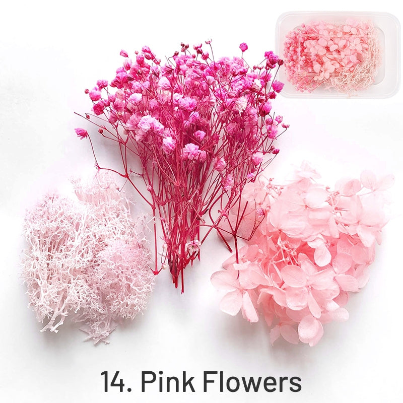Flores Secas Preservadas Decorativas en Caja sku-14