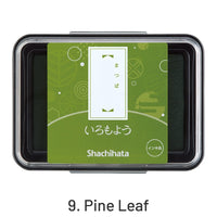 9. Hoja de Pino