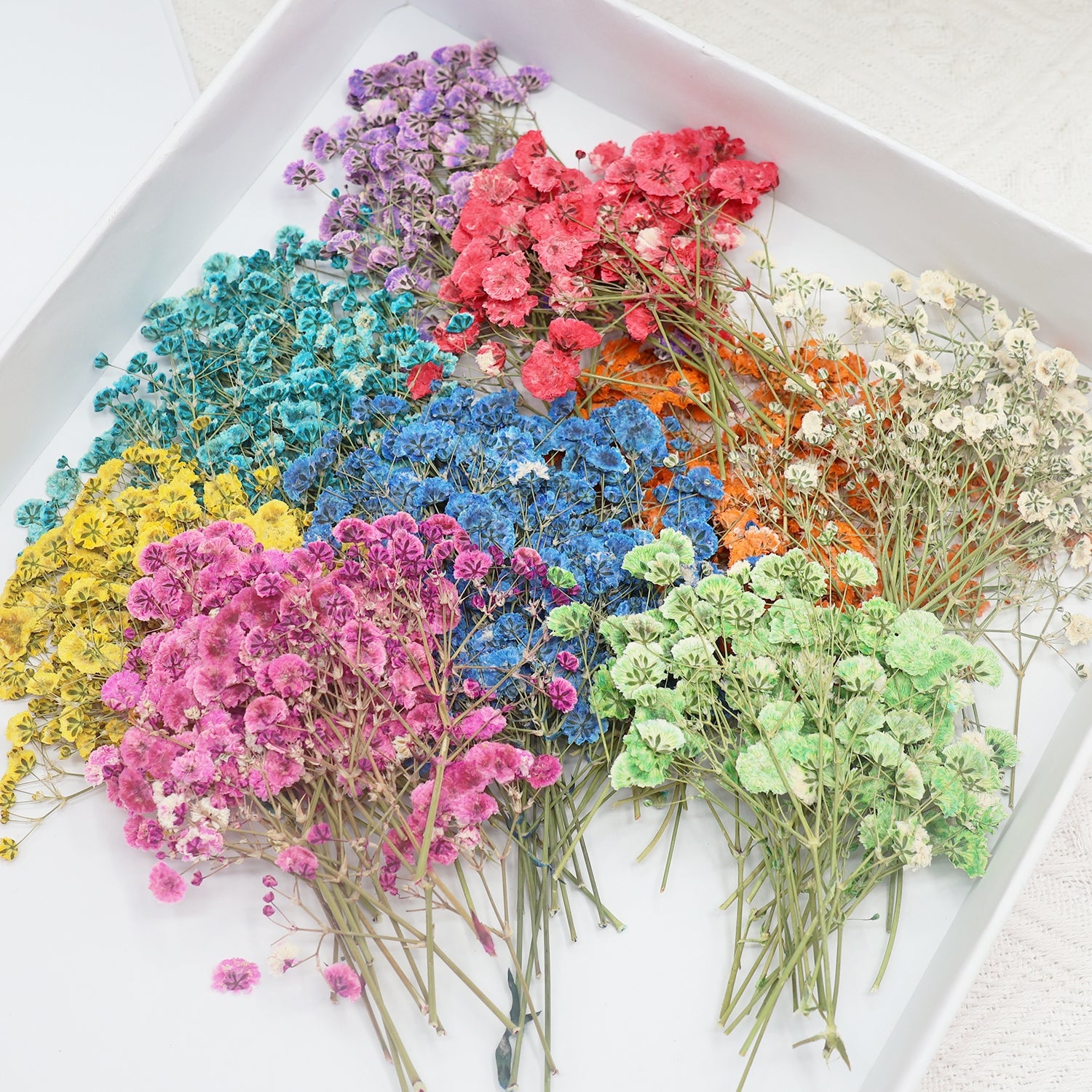Paquete de Material de Flores Secas DIY Gypsophila 1