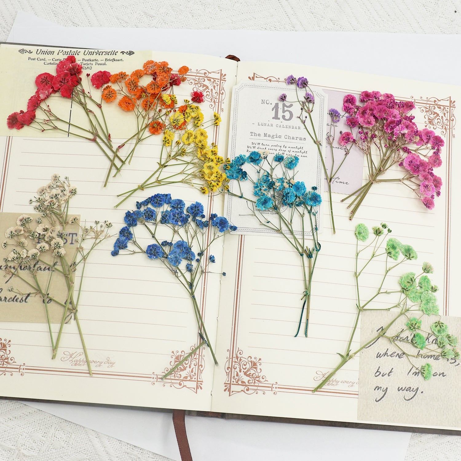Paquete de Material de Flores Secas DIY Aliento de Bebé 4