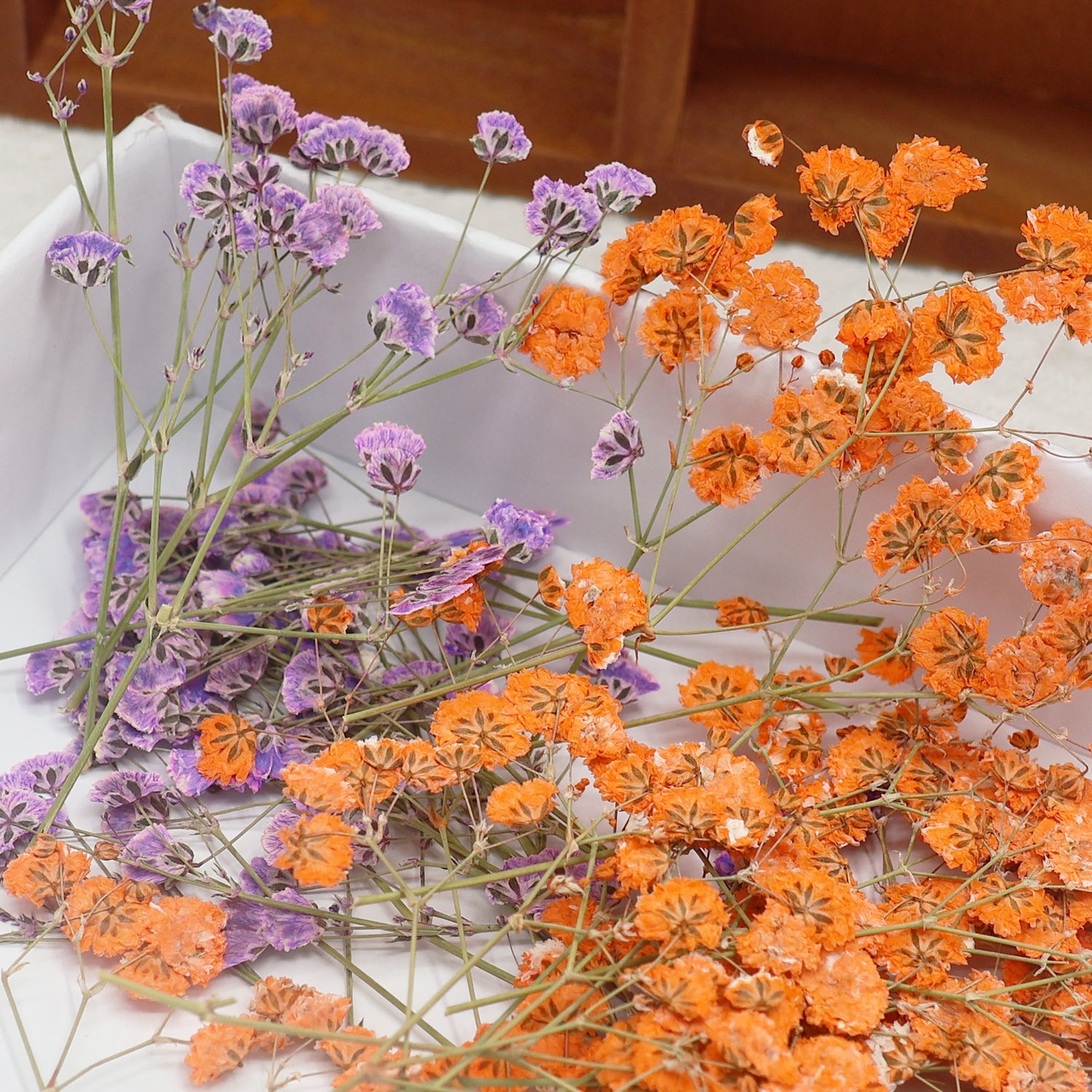 Paquete de Material de Flores Secas DIY Respiración de Bebé 2