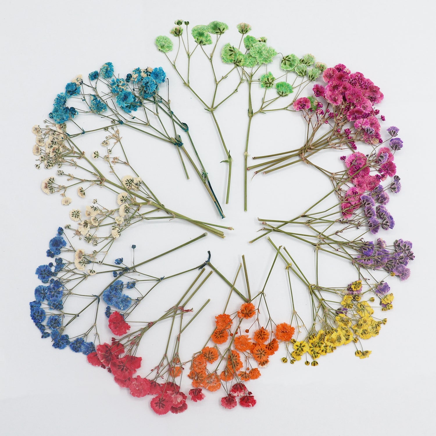 Paquete de Material de Flores Secas DIY Gypsophila 6