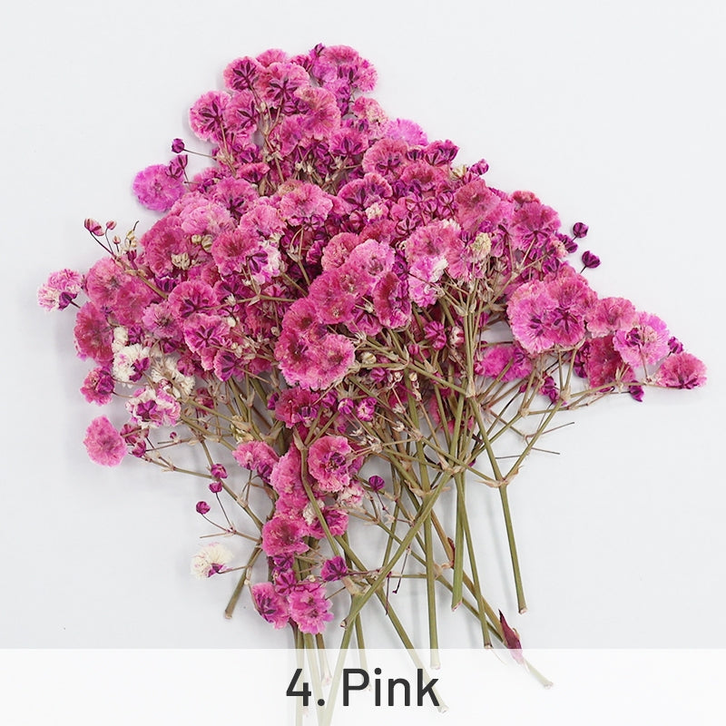 Paquete de Materiales de Flores Secas DIY Gypsophila sku-4
