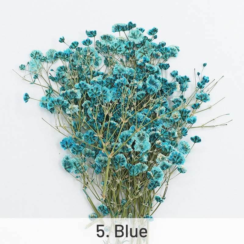Paquete de Material de Flores Secas DIY de Aliento de Bebé sku-5