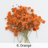 6. Naranja