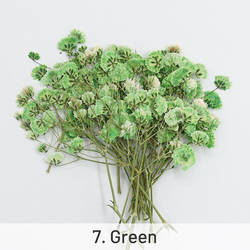 Paquete de Material de Flores Secas DIY Gypsophila sku-7