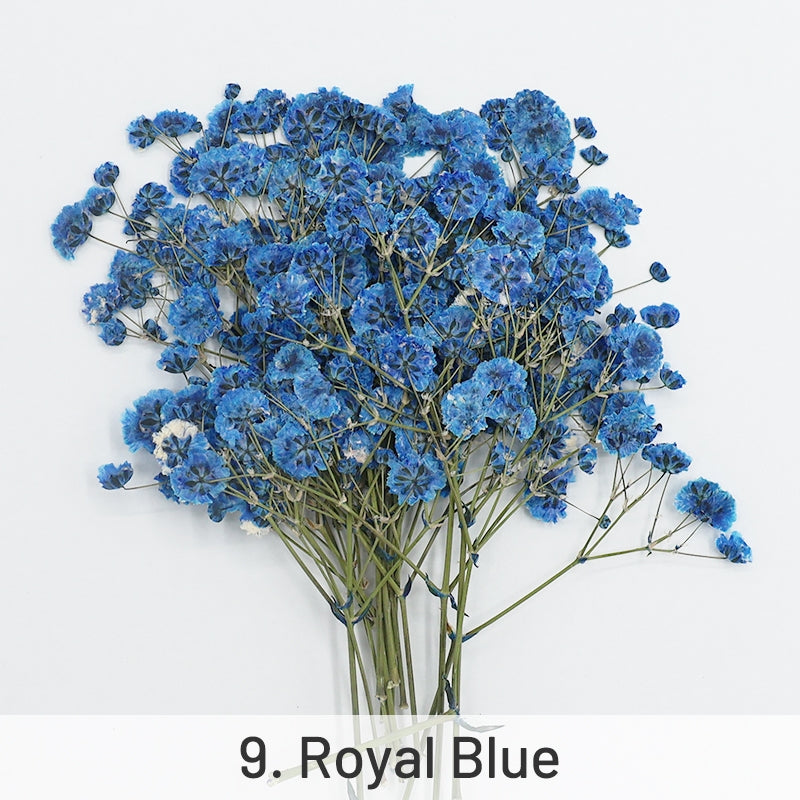 Paquete de Material de Flores Secas DIY Gypsophila sku-9
