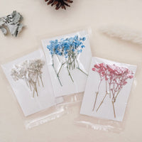 4. Conjunto Completo (10% DE DESCUENTO)