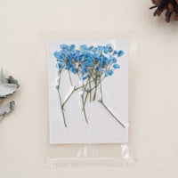 2. Azul